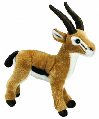 Thompson-Gazelle 35 cm (mit Hörnern)